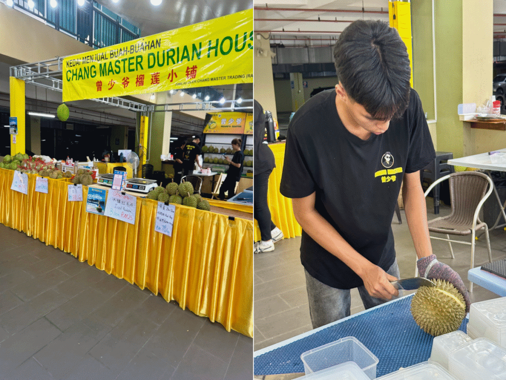 Durian house in johor