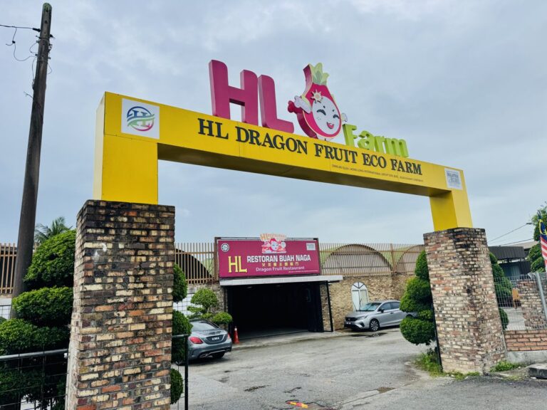 DragonFruitsFarm_Entrance