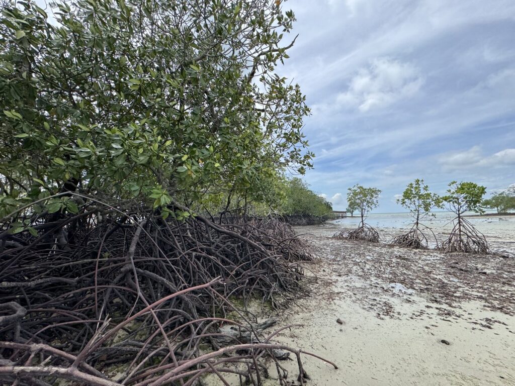 Pantai Bagan Pinang01